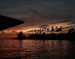 Pulau XXX
